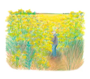 Beau comme un tracteur -2.jpg